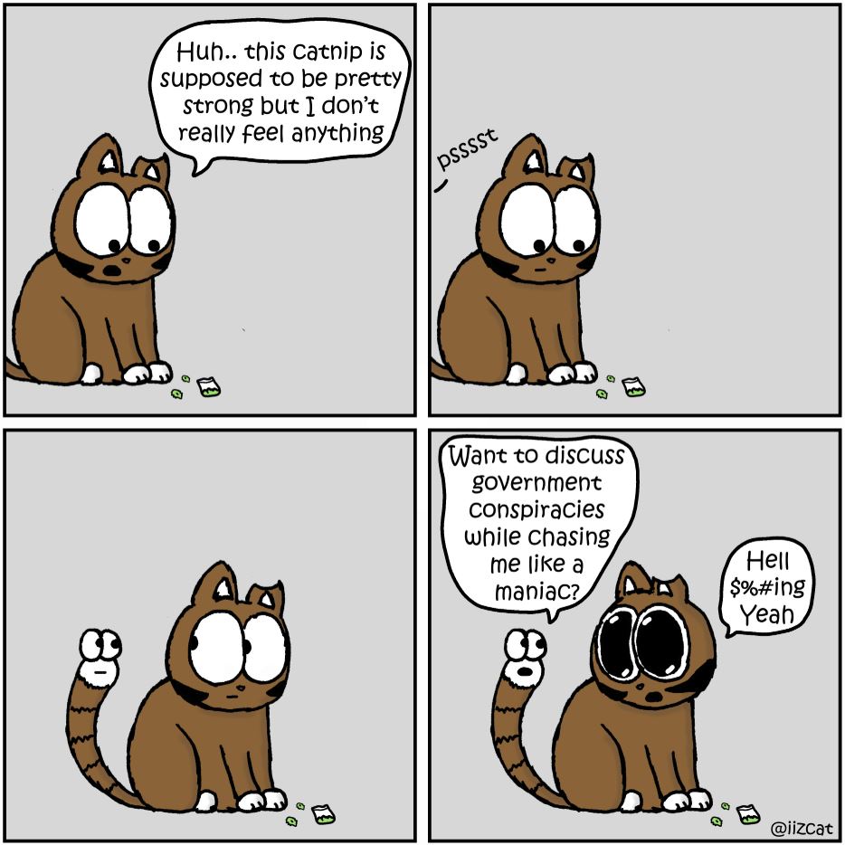 cat pictures