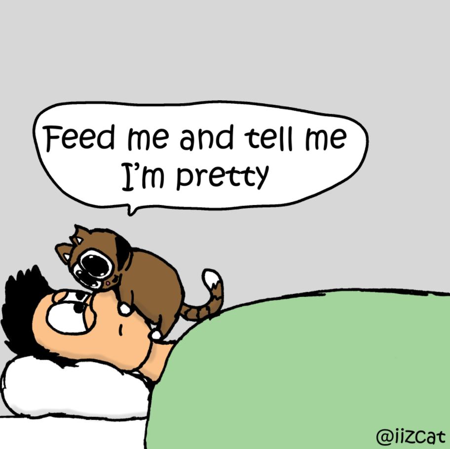 feedmecomic