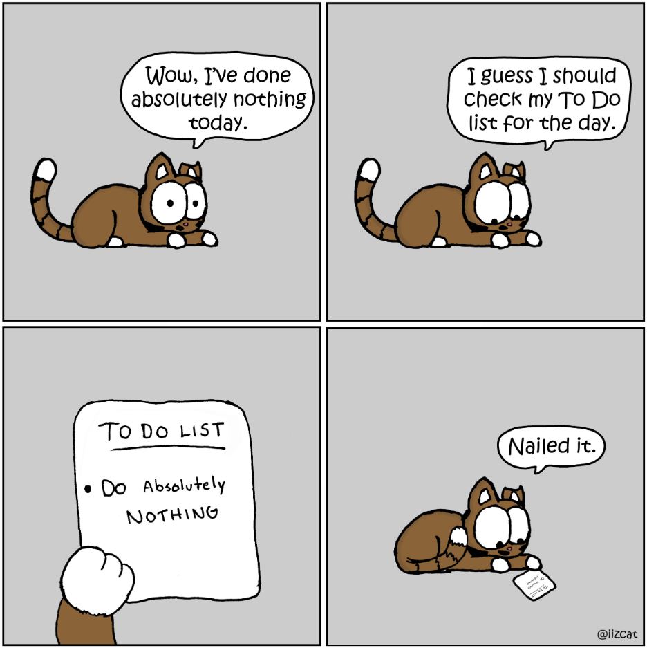cat pictures