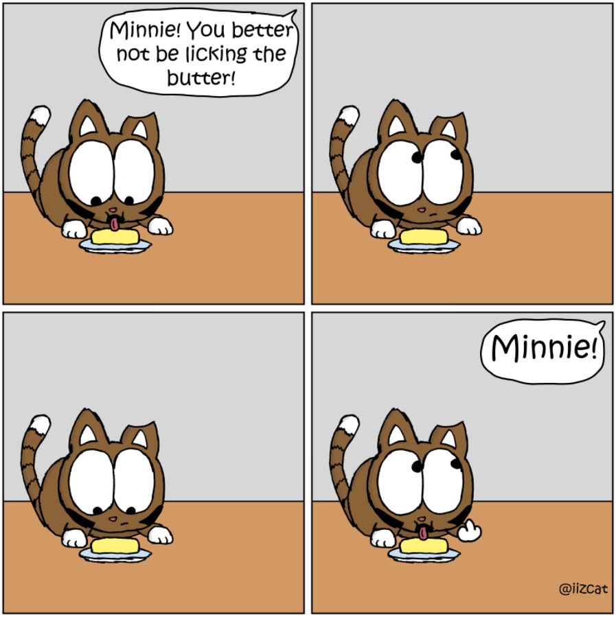 cat pictures