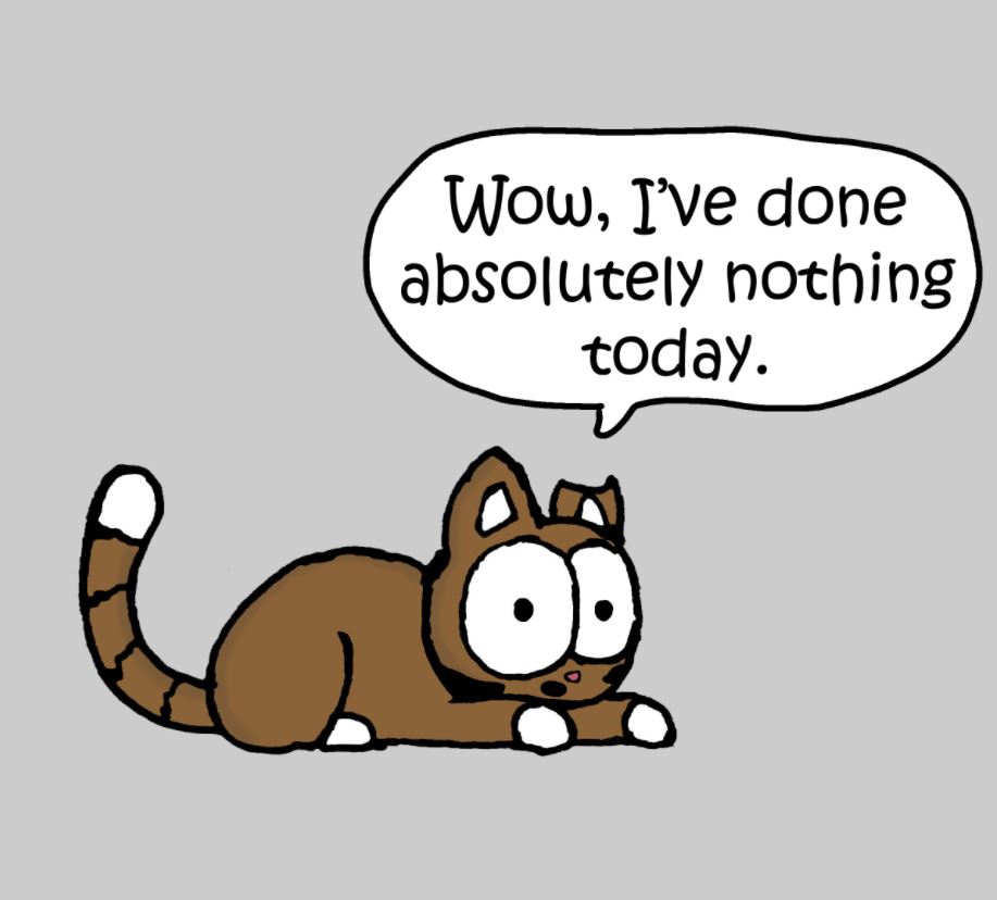 cat pictures
