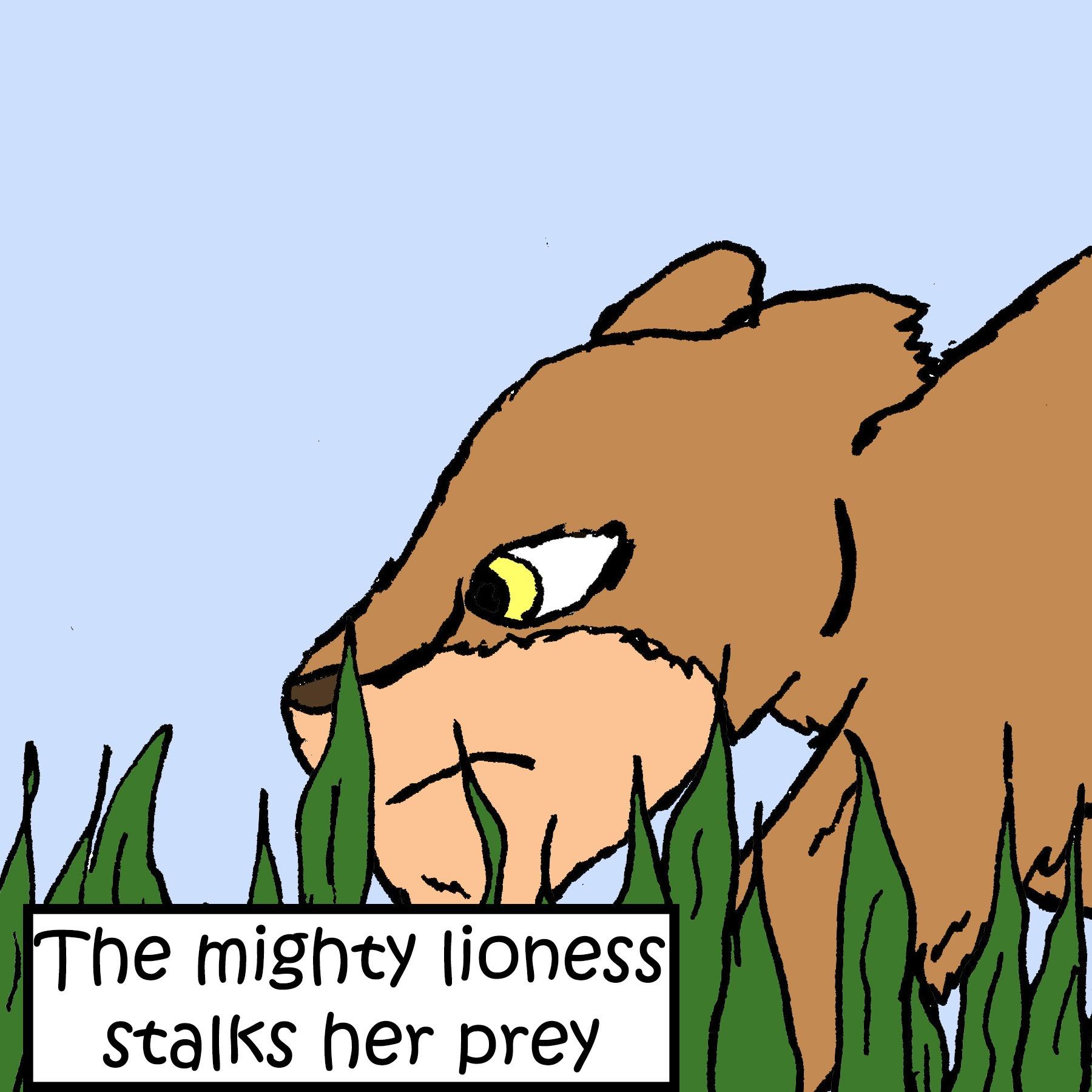 cat pictures