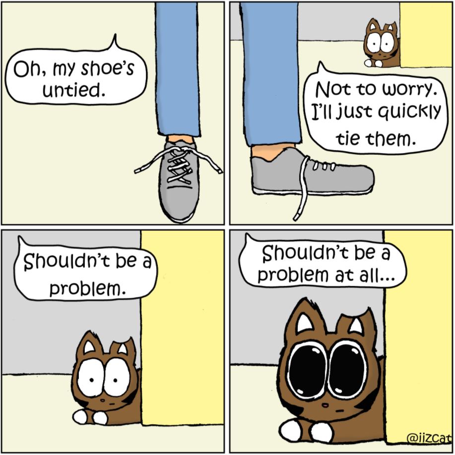 cat pictures