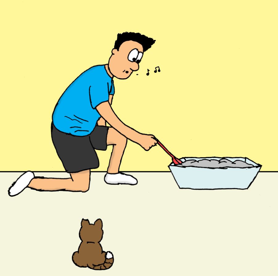 cat pictures