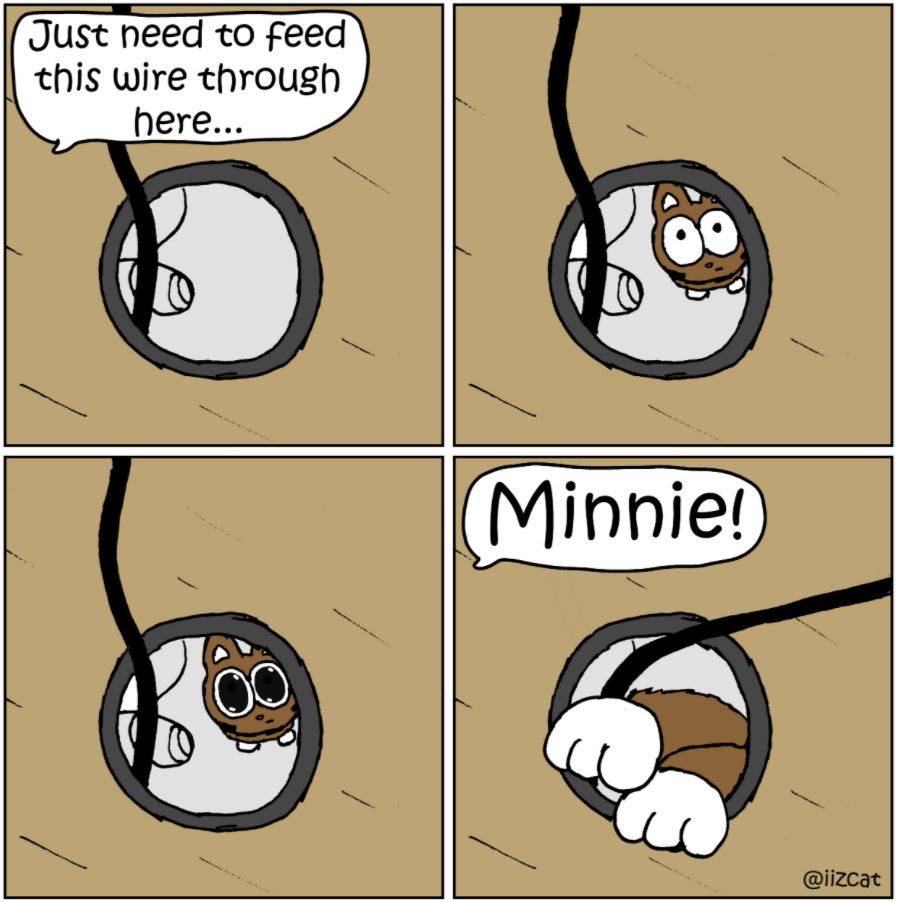 cat wire comic