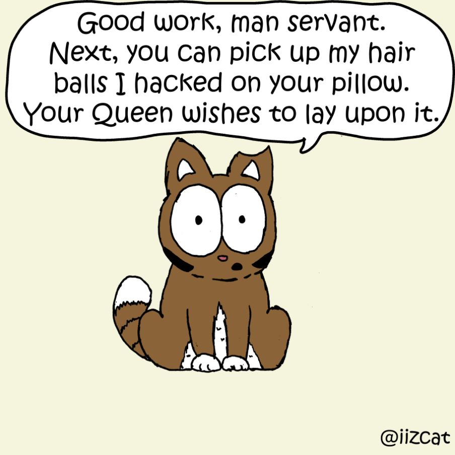 litter box comic 4
