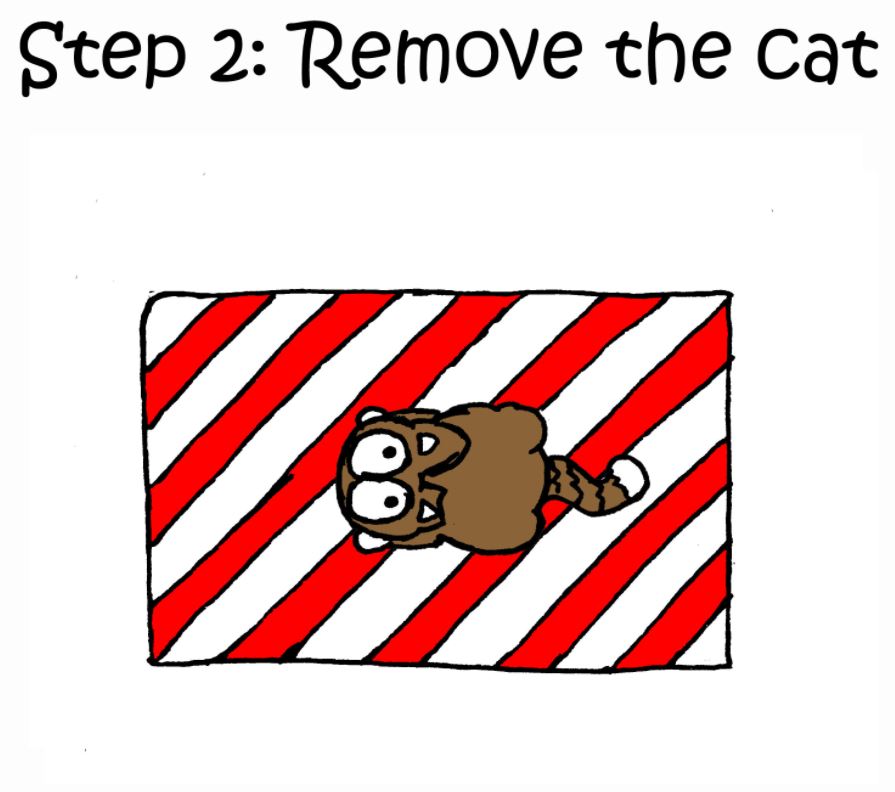 how to wrap a present with a cat step 2