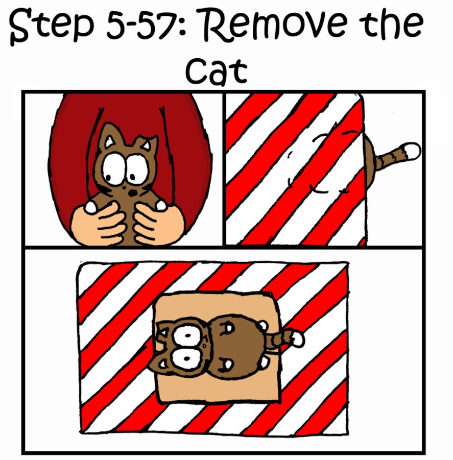 how to wrap a present when you have a cat step 5