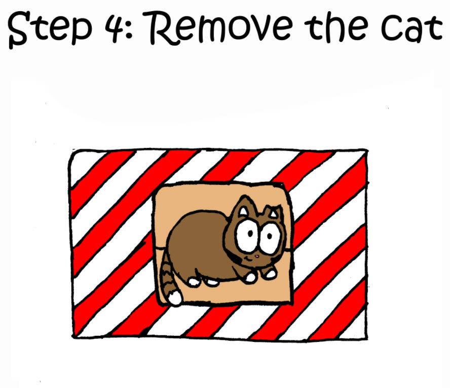 how to wrap a present when you have a cat step 4