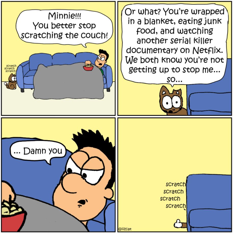 couch scratch comic