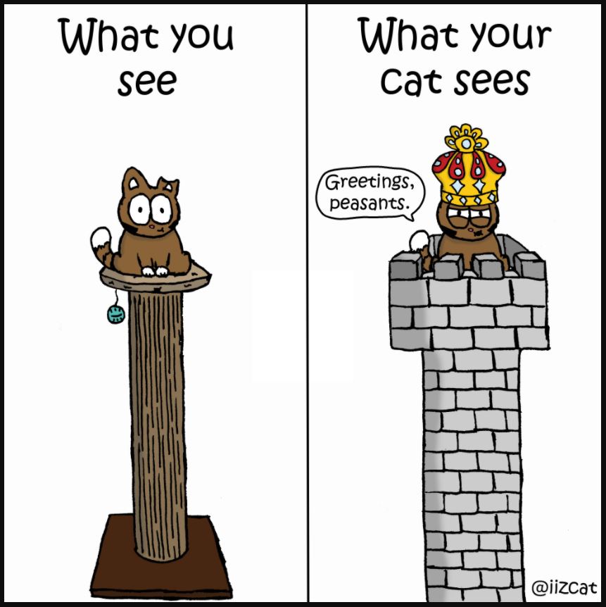 cat tower comic