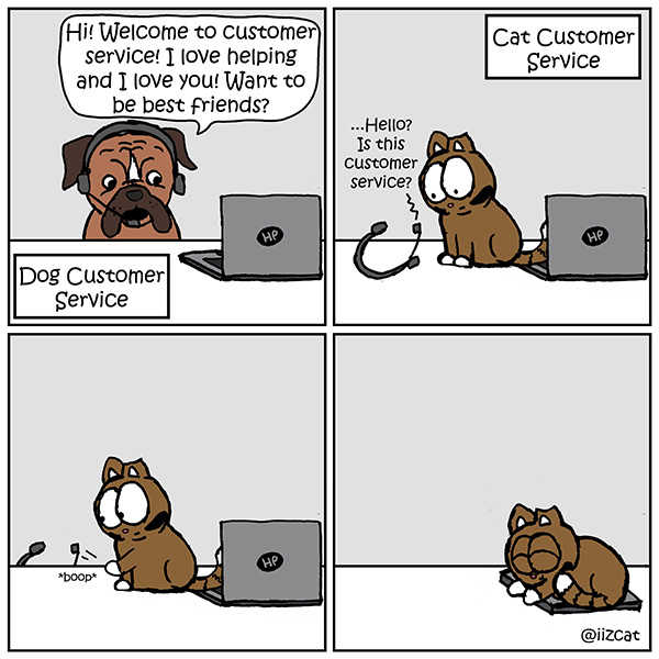 dog vs cat customer service