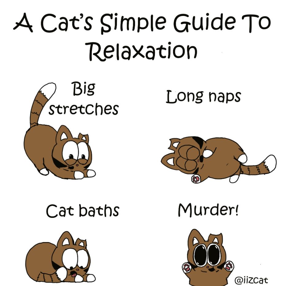 cats guide to relaxation