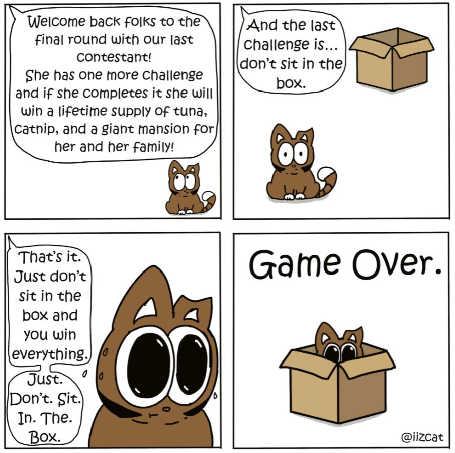 cat box game