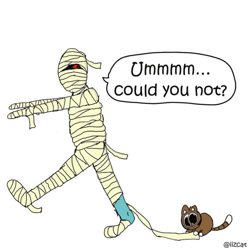 cats and mummies