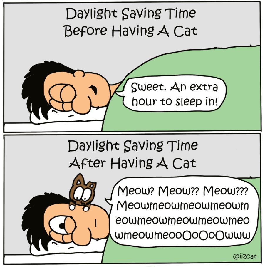 11 daylight savings time