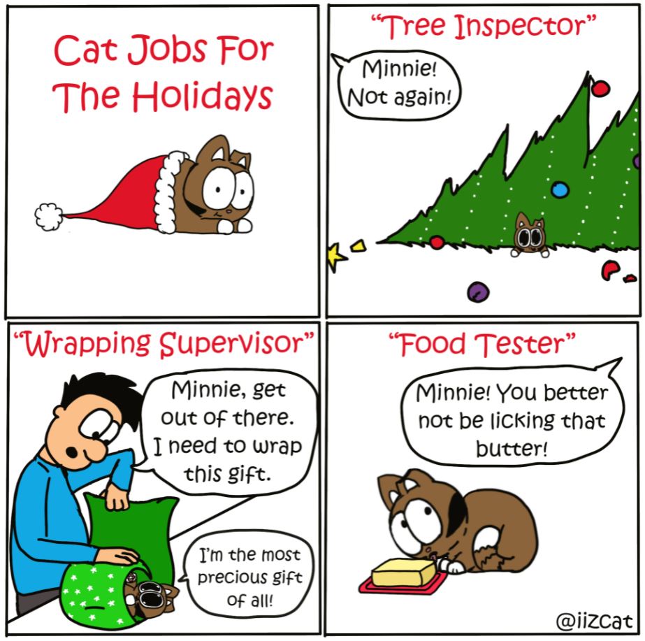 cat jobs for the holidays