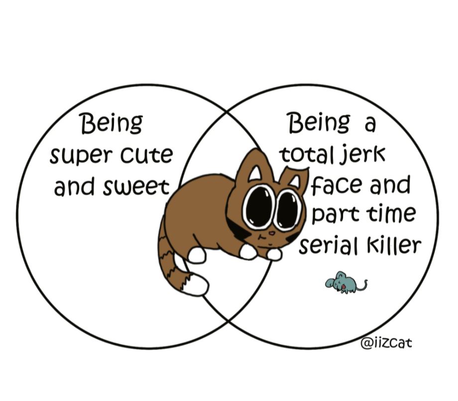  cat venn diagram