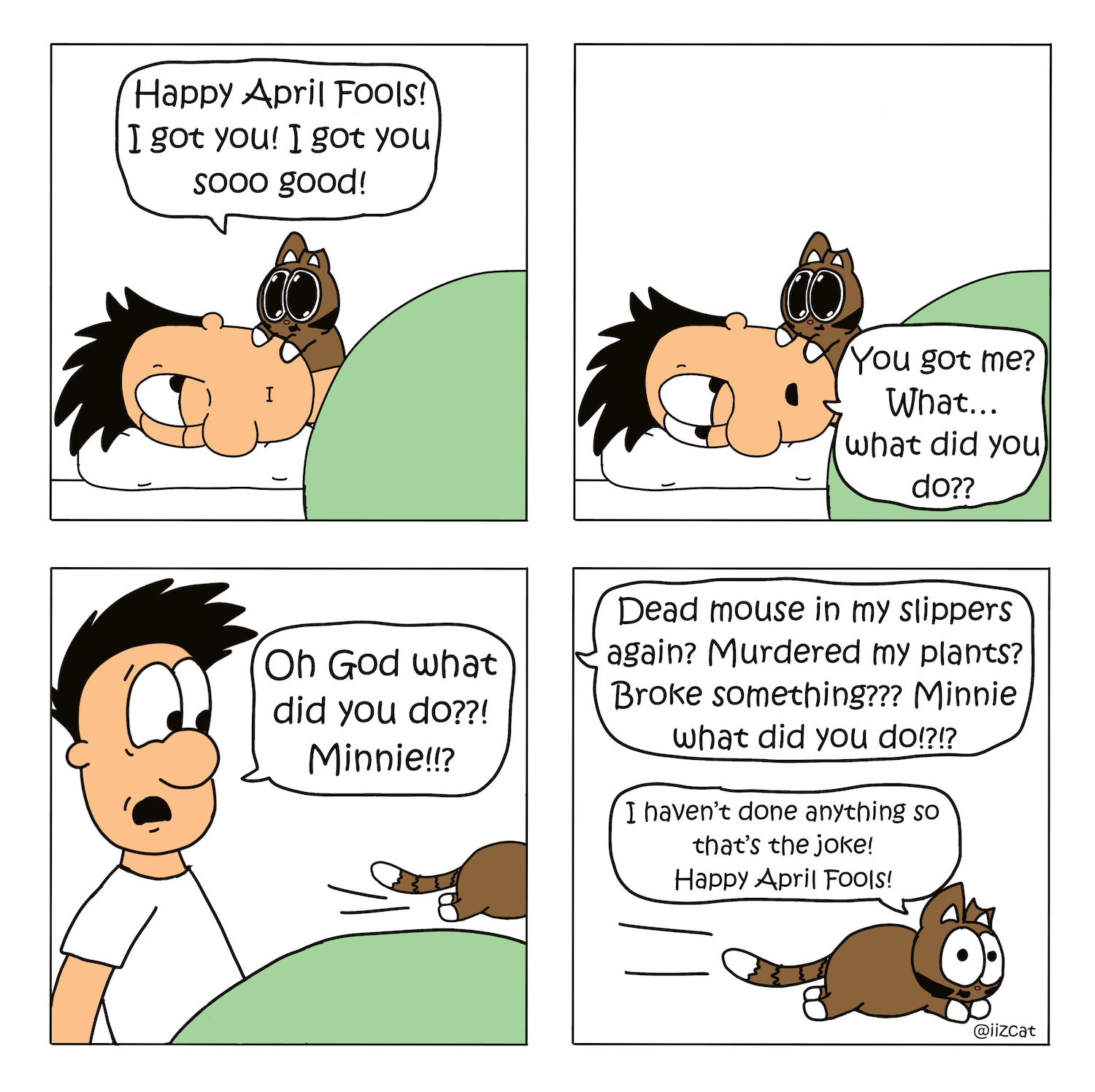 cat videos