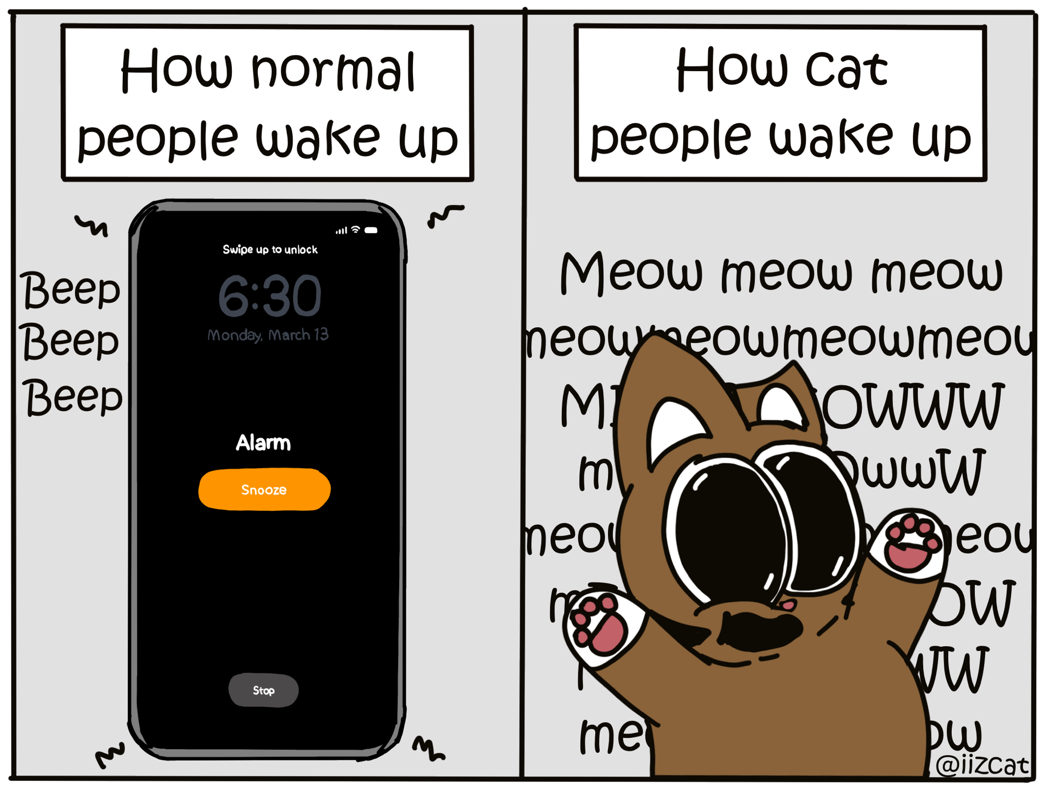 howcatpeoplewakeup