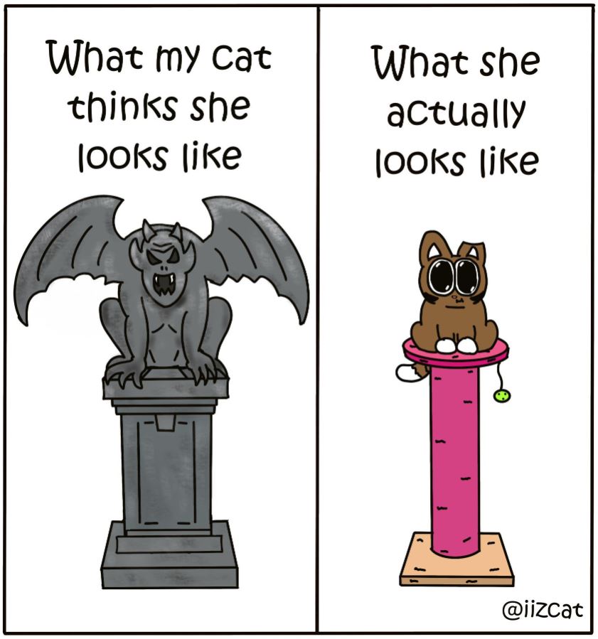 gargoyle or cat