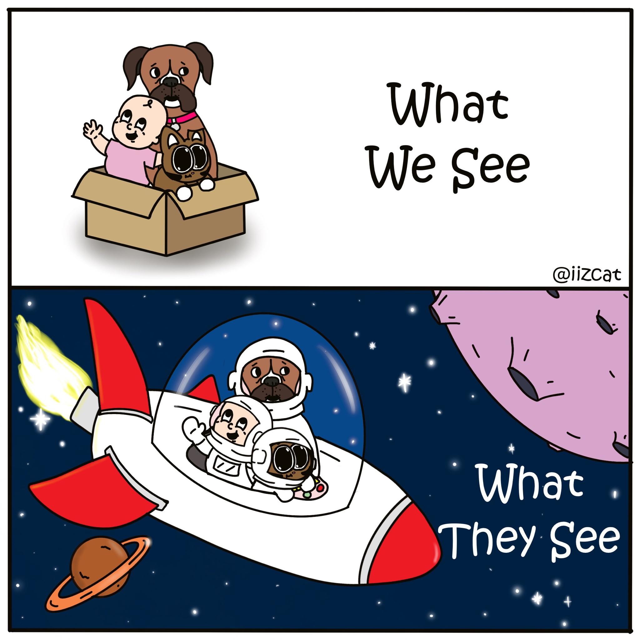 what we see vs what they see