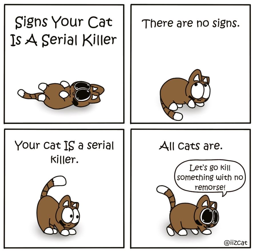 signs your cat is a serial killer
