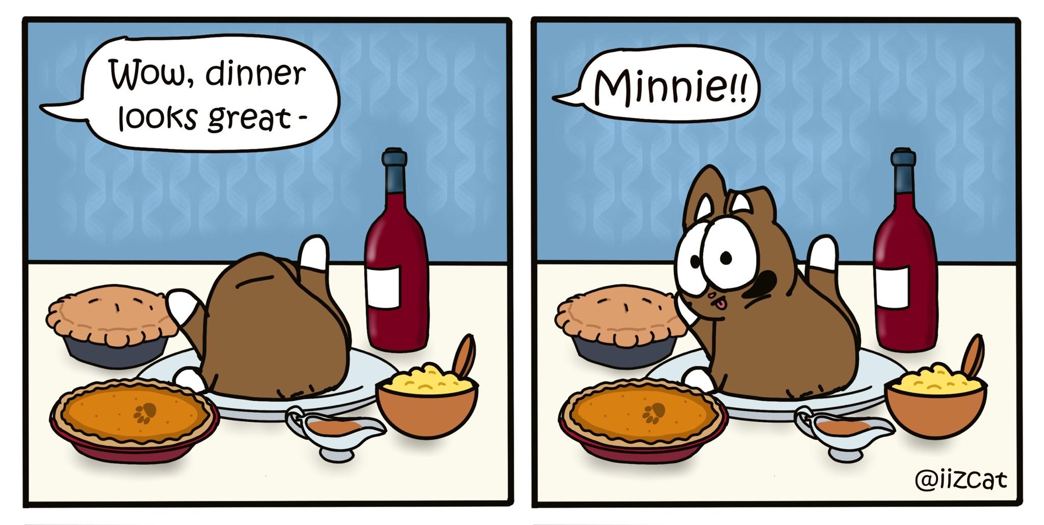 cat turkey