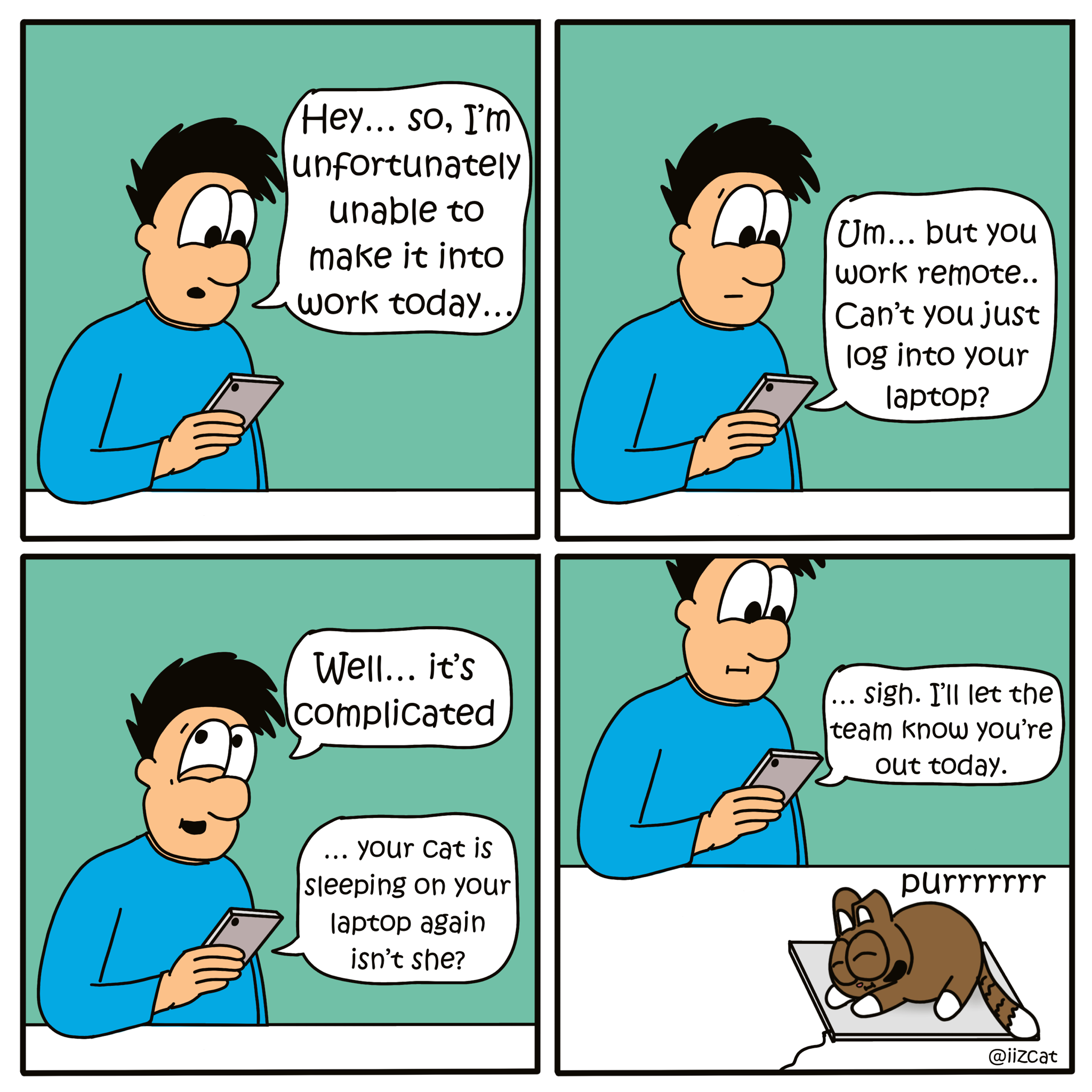 iizcat work