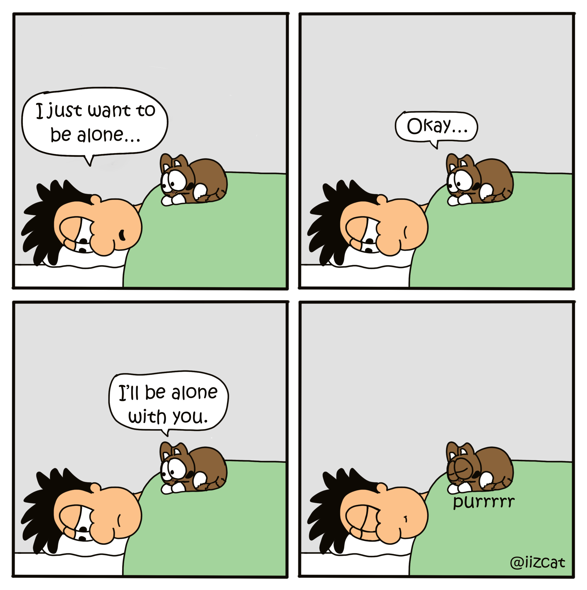 cat videos