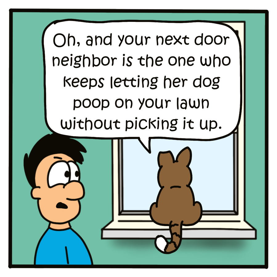 kitty tv 6