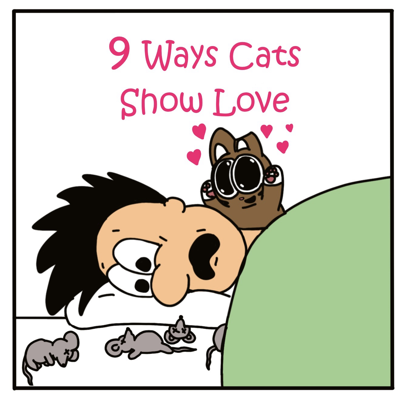 cat videos