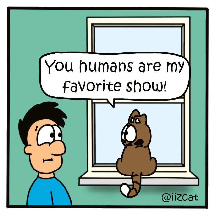 kitty tv 7