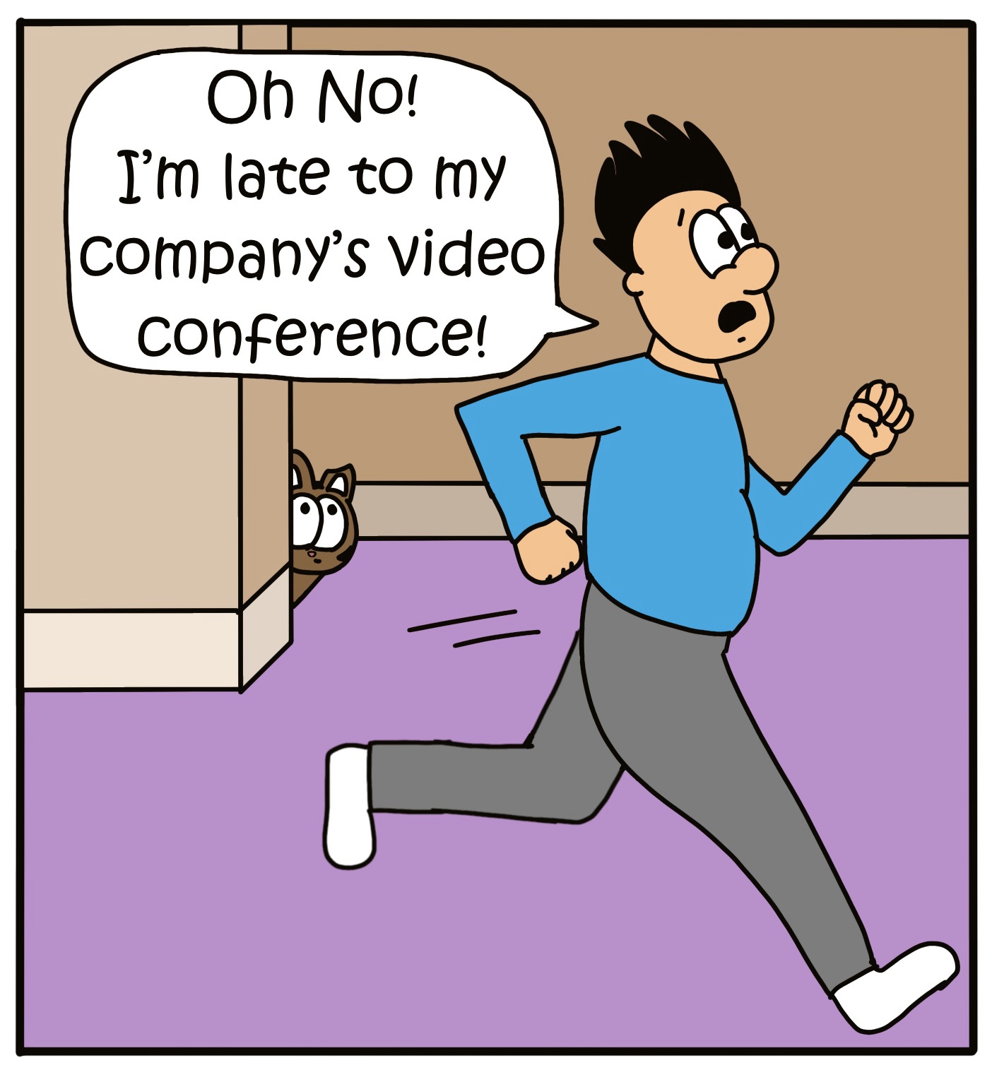 cat videos