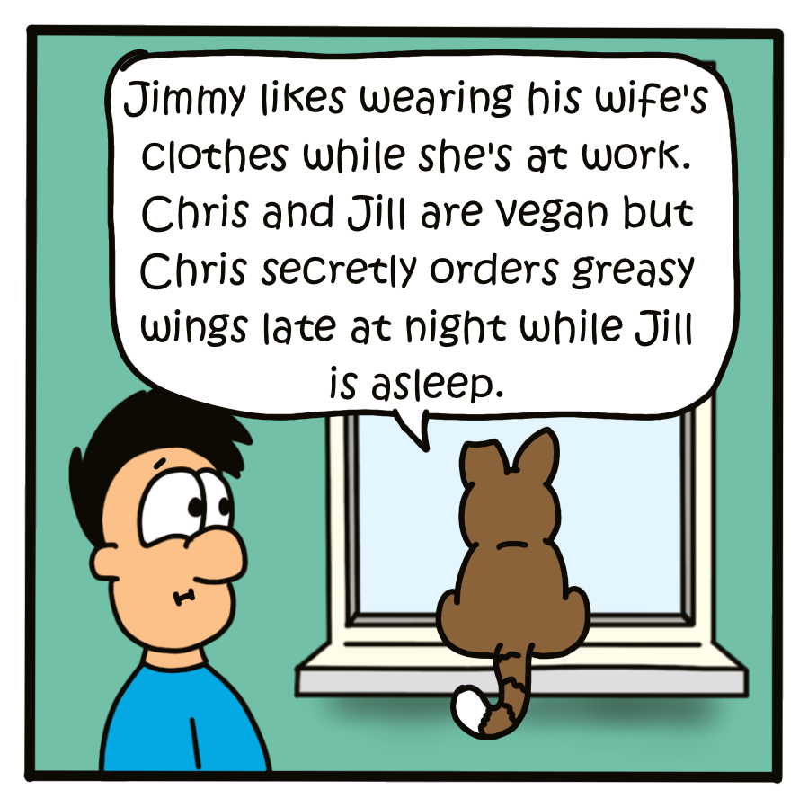 kitty tv 5