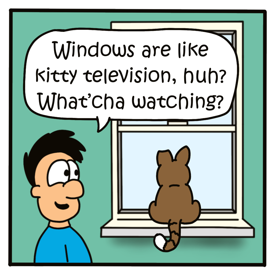 cat videos